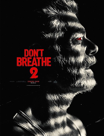 Не дихай 2 / Don't Breathe 2 (2021) BDRip 1080p Ukr/Eng | sub Ukr/Eng